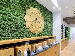 永生苔藓植物墙