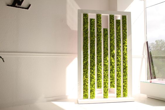 永生苔藓植物墙