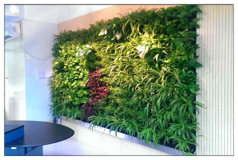 种植袋式植物墙