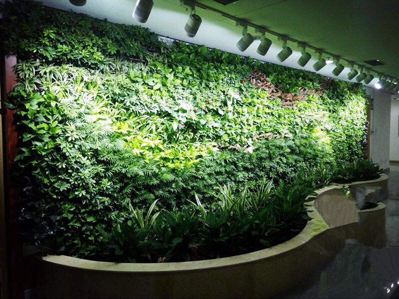 种植盒式植物墙