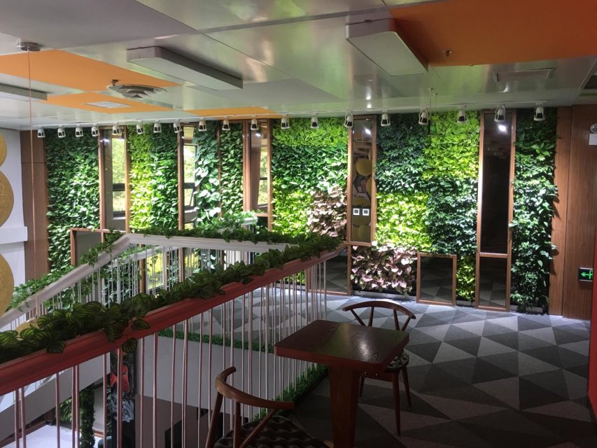 种植毯式无土植物墙
