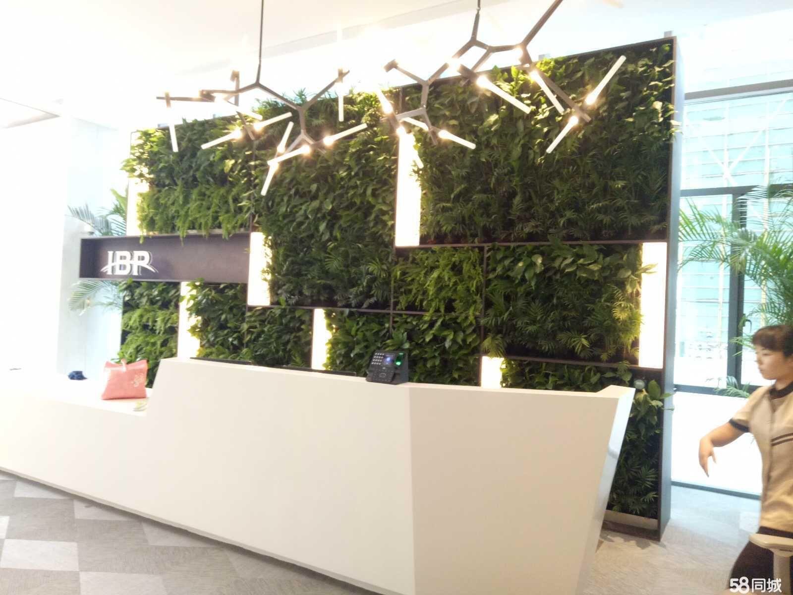 种植毯式无土植物墙