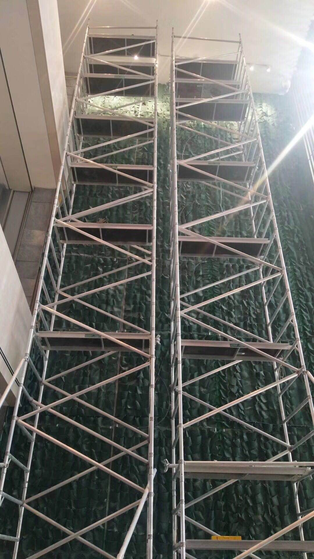 效果图